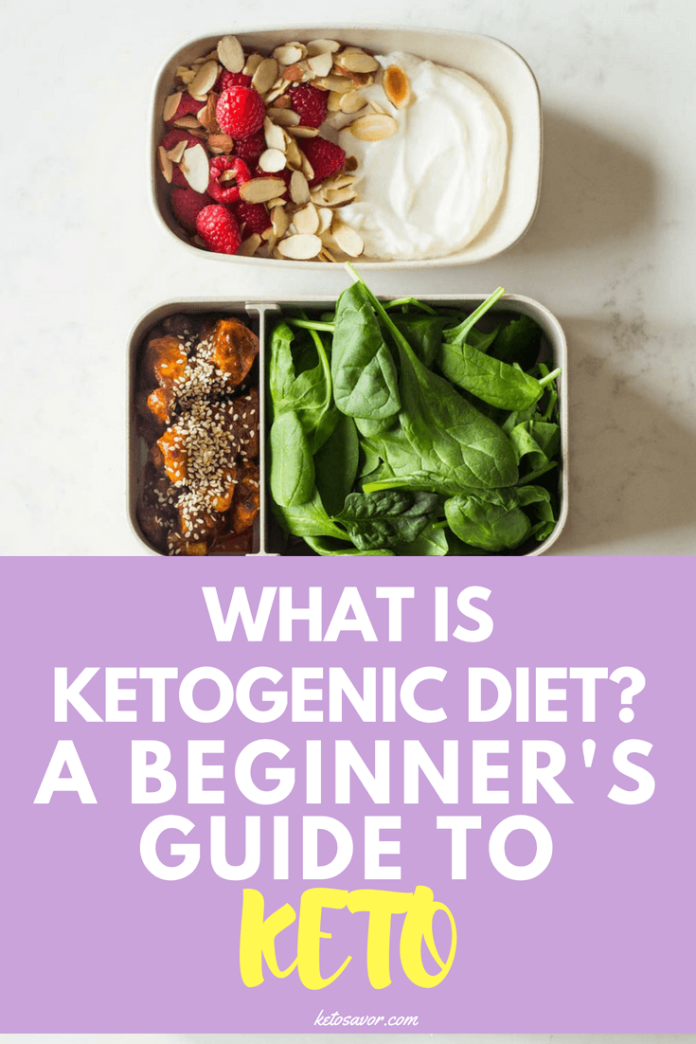 What Is Ketogenic Diet? A Beginner's Guide To Keto #keto #ketogenic #ketogenicdiet #ketosavor