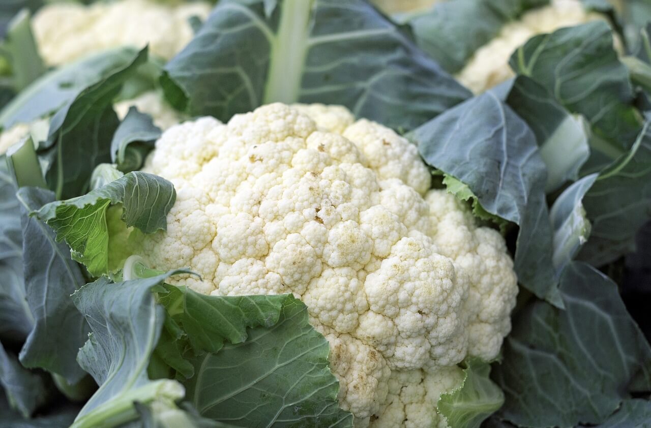 Vegetables to Eat on a Keto Diet: Cauliflower