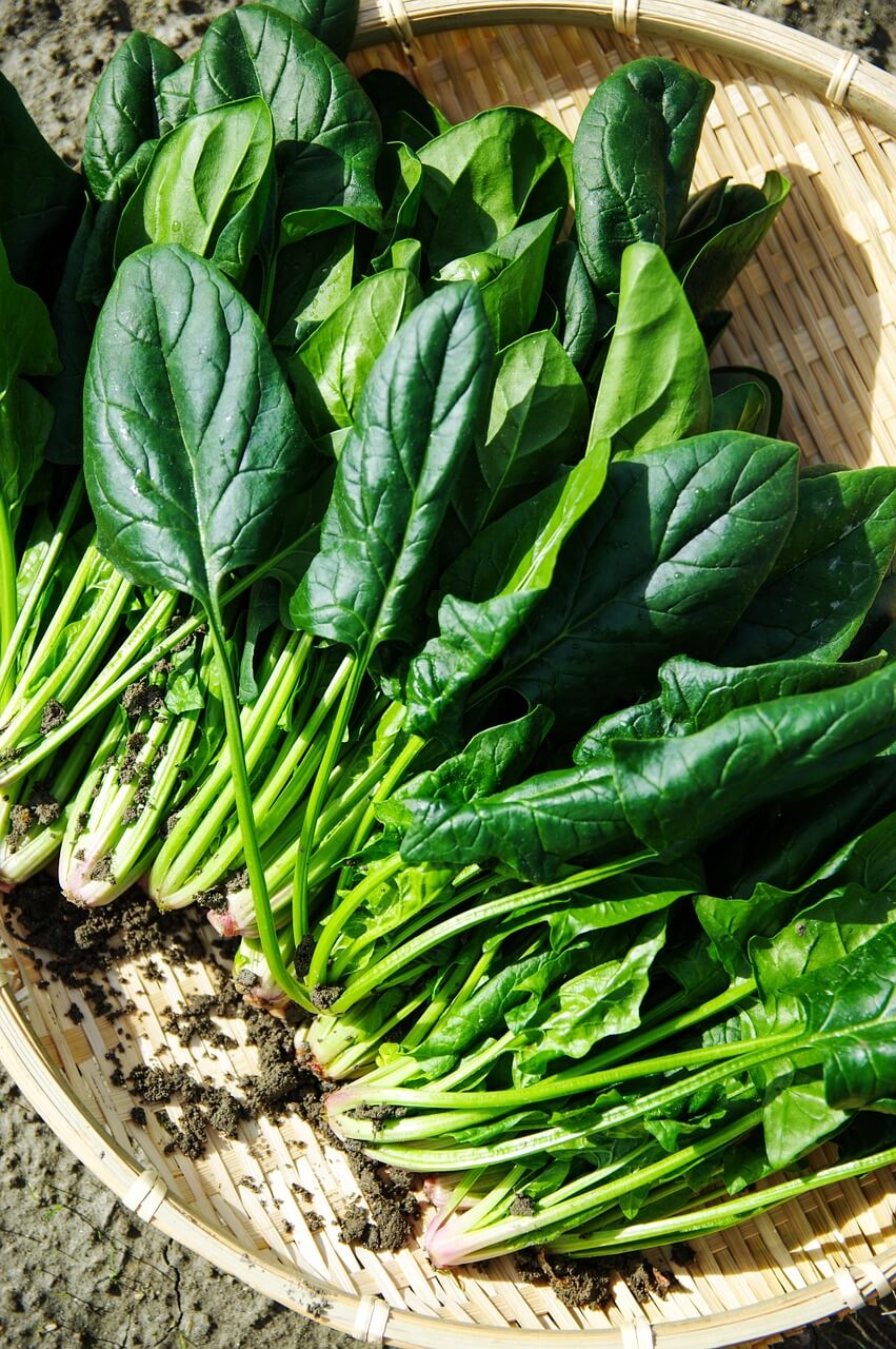 Vegetables to Eat on a Keto Diet: Spinach