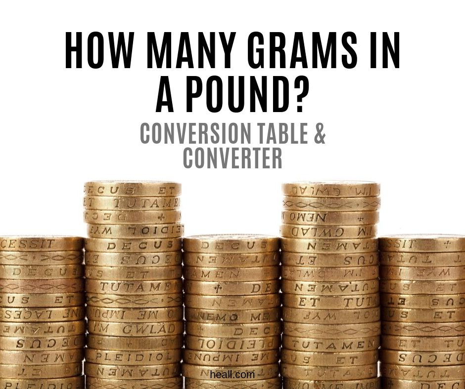 How Many Grams In A Pound Conversion Table Converter 