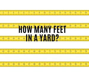 How Many Feet In A Yard? {Conversion Table & Converter}