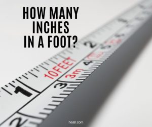 How Many Inches In A Foot? Conversion Table & Converter