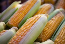 Surprising Health Benefits of Corn